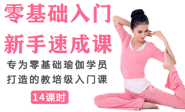 零基础入门新手速成课