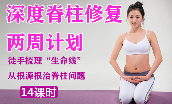 深度脊柱修复两周计划