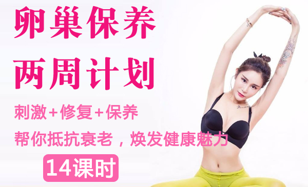 卵巢保养两周计划
