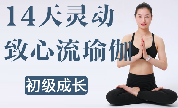 14天灵动致心流瑜伽（初级成长）