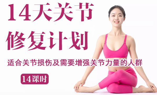 14天关节修复计划