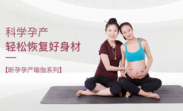 昕孕孕产瑜伽系列